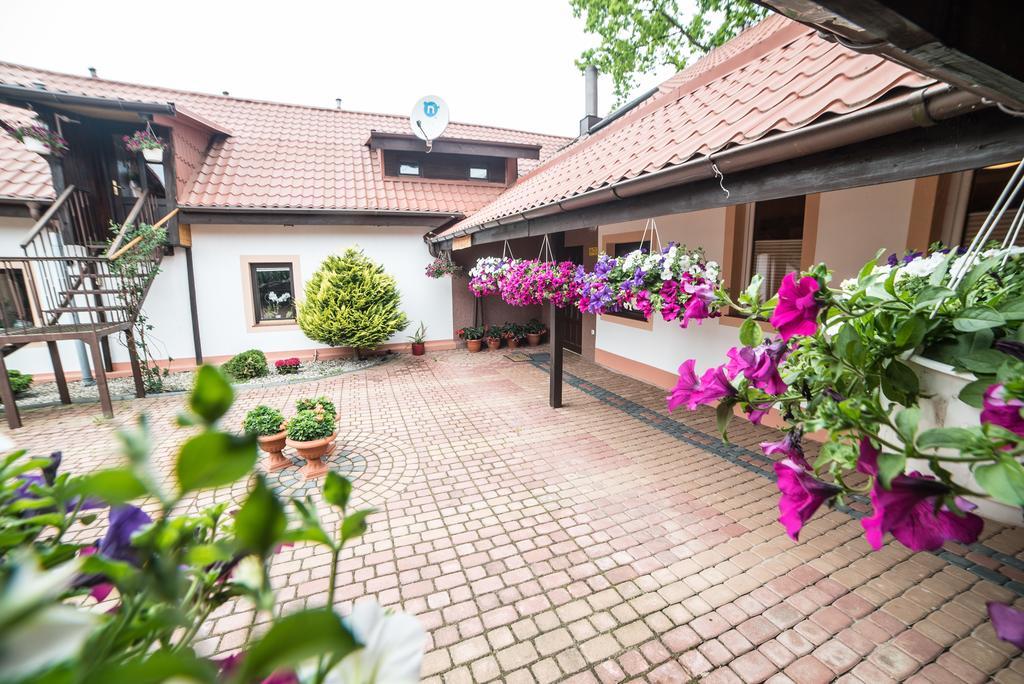Gosciniec Czapla Bed & Breakfast Dywity Ngoại thất bức ảnh